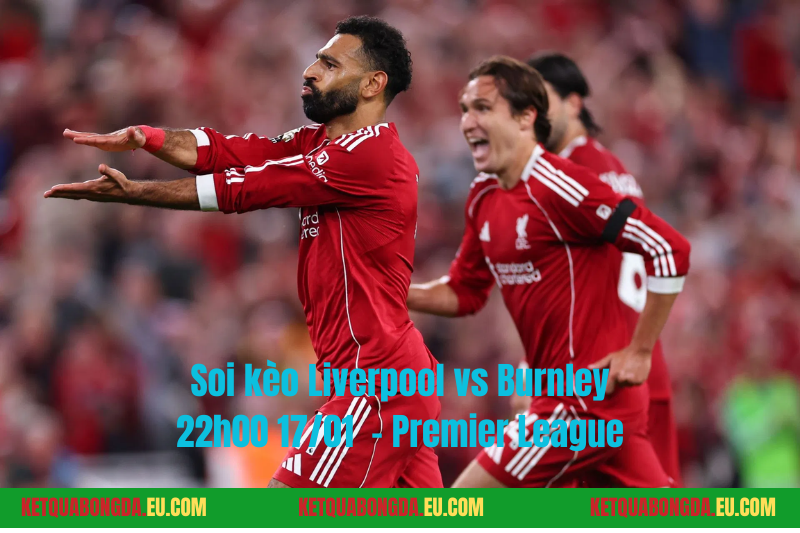 Đội hình dự kiến trước trận Liverpool vs Burnley Đội hình dự kiến trước trận Liverpool vs Burnley