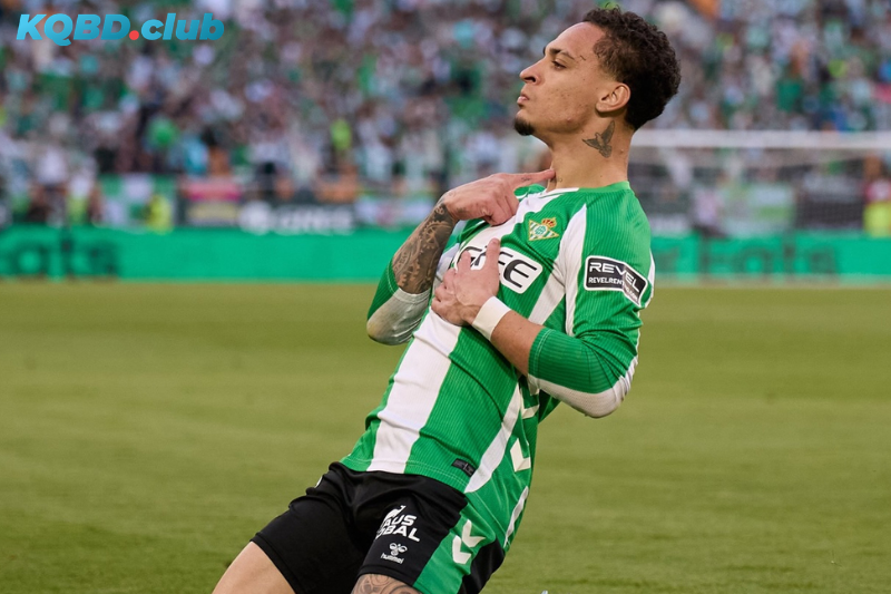 Đội hình dự kiến trước trận Betis vs Panathinaikos Đội hình dự kiến trước trận Betis vs Panathinaikos